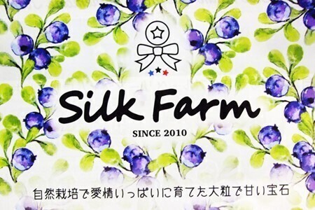【期間限定】粒ぞろいのブルーベリー　1000g