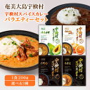 【ふるさと納税】宇検村 スパイスカレー バラエティ ( 選べる 3種 ) レトルト カレー グルテンフリー 化学調味料不使用 車海老 イノシシ パパイヤ たんかん チキン 小麦粉不使用 本格カレー ギフト 自宅用 国産 ご当地カレー おすすめ 人気 備蓄 奄美大島 宇検村 鹿児島県