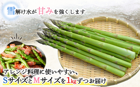 グリーンアスパラSMサイズ2kg【令和6年発送】【12016】