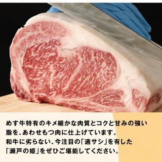瀬戸の姫（スライス）《45日以内に出荷予定(土日祝除く)》---B-08---