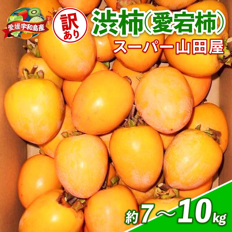 【ふるさと納税】 訳あり 渋柿 愛宕柿 選べる 約 7kg ～ 10kg スーパー山田屋 先行予約 不揃い kaki かき あたごがき カキ フルーツ 果物 くだもの 訳アリ 訳有り わけあり ご家庭用 規格外 秋の味覚 新鮮 旬 産地直送 数量限定 国産 愛媛 愛媛県 宇和島