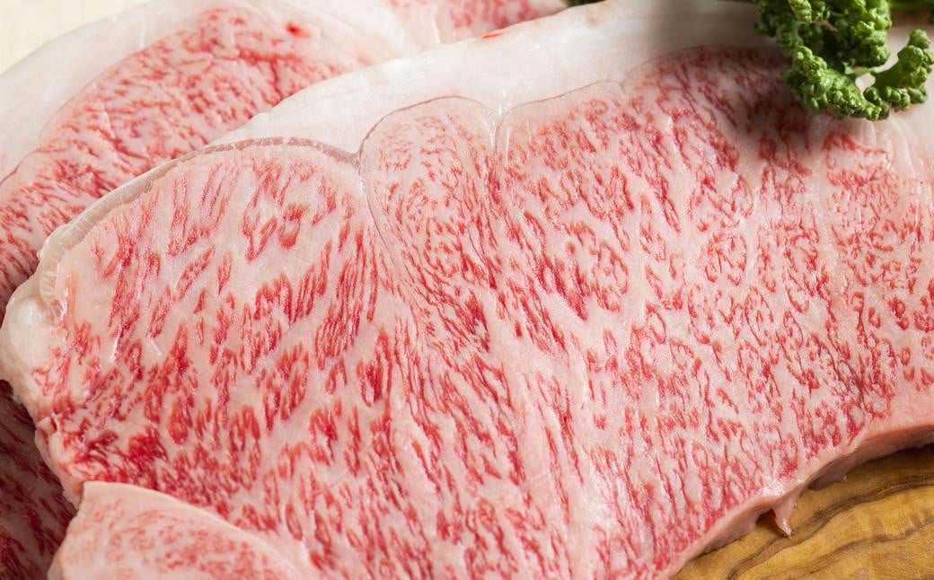 長崎和牛サーロインステーキ2枚セット 合計500g (250g×2枚) ／ 国産 ソース付き ステーキ 肉 お肉 和牛 