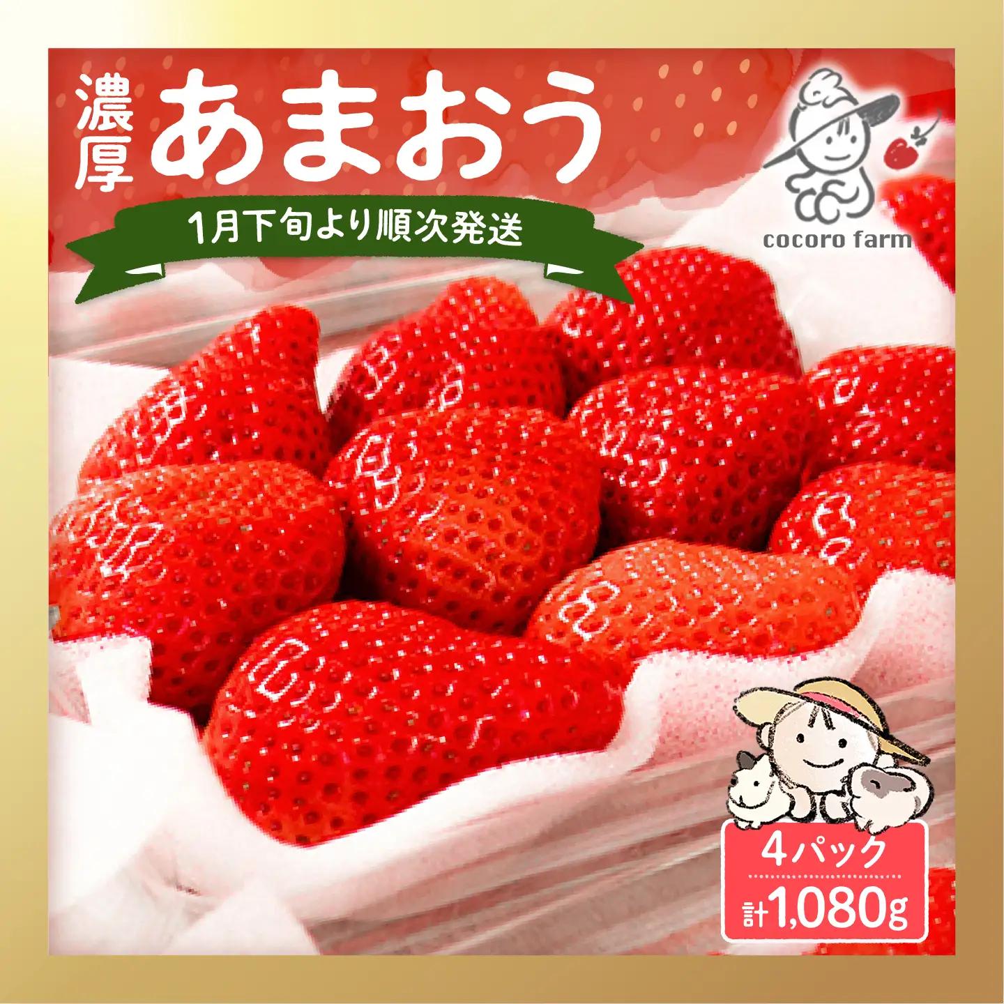【先行予約】ココロファームの濃厚あまおう 270g×4P VAE022 いちご あまおう
