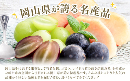 【2027年発送】岡山の桃とぶどう 十五撰 15種 計12.9kg【配送不可地域あり】