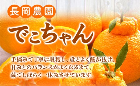 【先行受付】でこちゃん ( デコポン )と同品種 不知火 11玉 長岡農園《2月中旬-4月上旬頃より順次出荷》 和歌山県 日高川町 不知火 旬 柑橘 フルーツ 果物