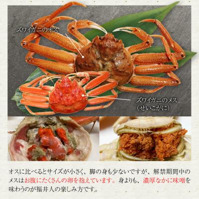 ふるさと納税 福井市 蟹好きにおすすめ!老舗カニ専門店の「セイコガニ大サイズ(200〜240g)2杯」 |  | 02