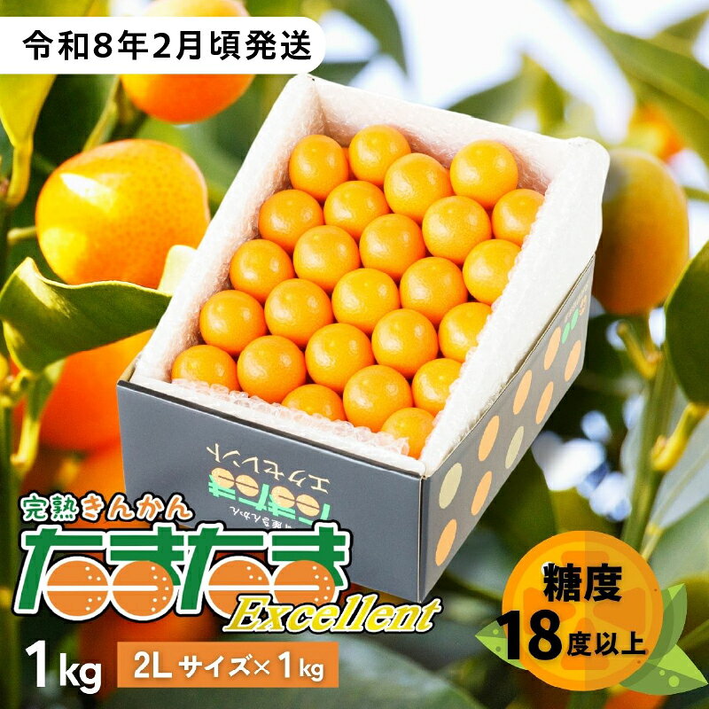 【ふるさと納税】完熟きんかん たまたまエクセレント 1kg 果物 フルーツ デザート スイーツ きんかん きんかんたまたま 完熟 宮崎県産 国産 宮崎産 贈答 贈り物 ギフト プレゼント ブランド 柑橘 柑橘系 柑橘類 おやつ グルメ お取り寄せ 宮崎県 高千穂町 送料無料