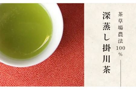 茶草場農法 100％ 深蒸し掛川茶 100g×4袋（ギフト箱入）（新茶 ･令和7年5月下旬より発送　②令和6年度産：今すぐ発送）　三重大製茶　（※新茶受付あり） 1879