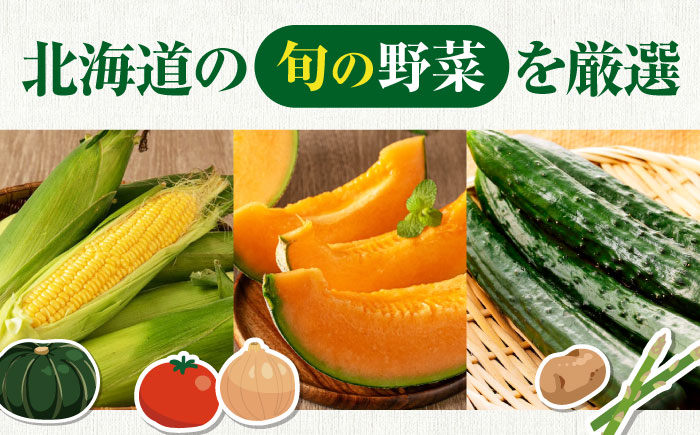  野菜 セット先行予約 夏野菜 秋野菜 季節の野菜 北海道 