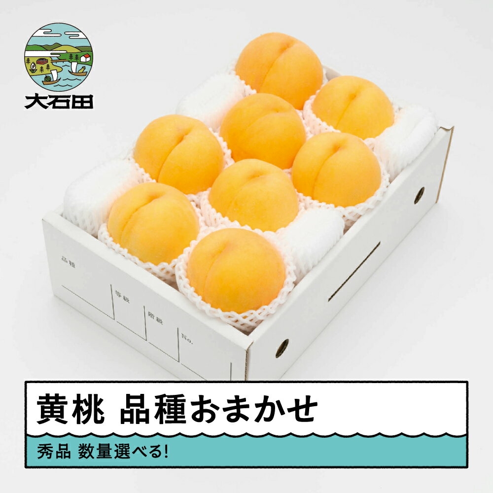 【ふるさと納税】 【先行予約】 もも 黄桃 有袋黄桃 秀品 品種おまかせ 化粧箱入り 数量選べる 2kg 3kg 5kg 2026年産 送料無料 フルーツ 果物 大石田 ns-mootx ※沖縄・離島への配送不可