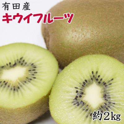 ふるさと納税 湯浅町 【1月より順次発送】有田でとれた完熟キウイフルーツ約2kg(M〜3Lサイズ混合)