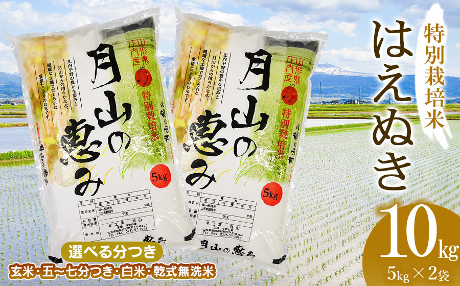 
            【令和6年産 新米】 特別栽培米 はえぬき 10kg（5kg×2袋）山形県鶴岡市産　米工房 月山
          