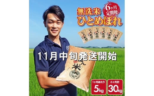 11月中旬発送開始／【6回定期便】無洗米ひとめぼれ　5kg×6回(計30kg)　農家直送『いいあん米』AG SN0013