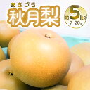 【ふるさと納税】【先行予約】 秋月梨 約5kg 7~20玉 梨 なし 熊本県産【2024年8月下旬より順次発送】