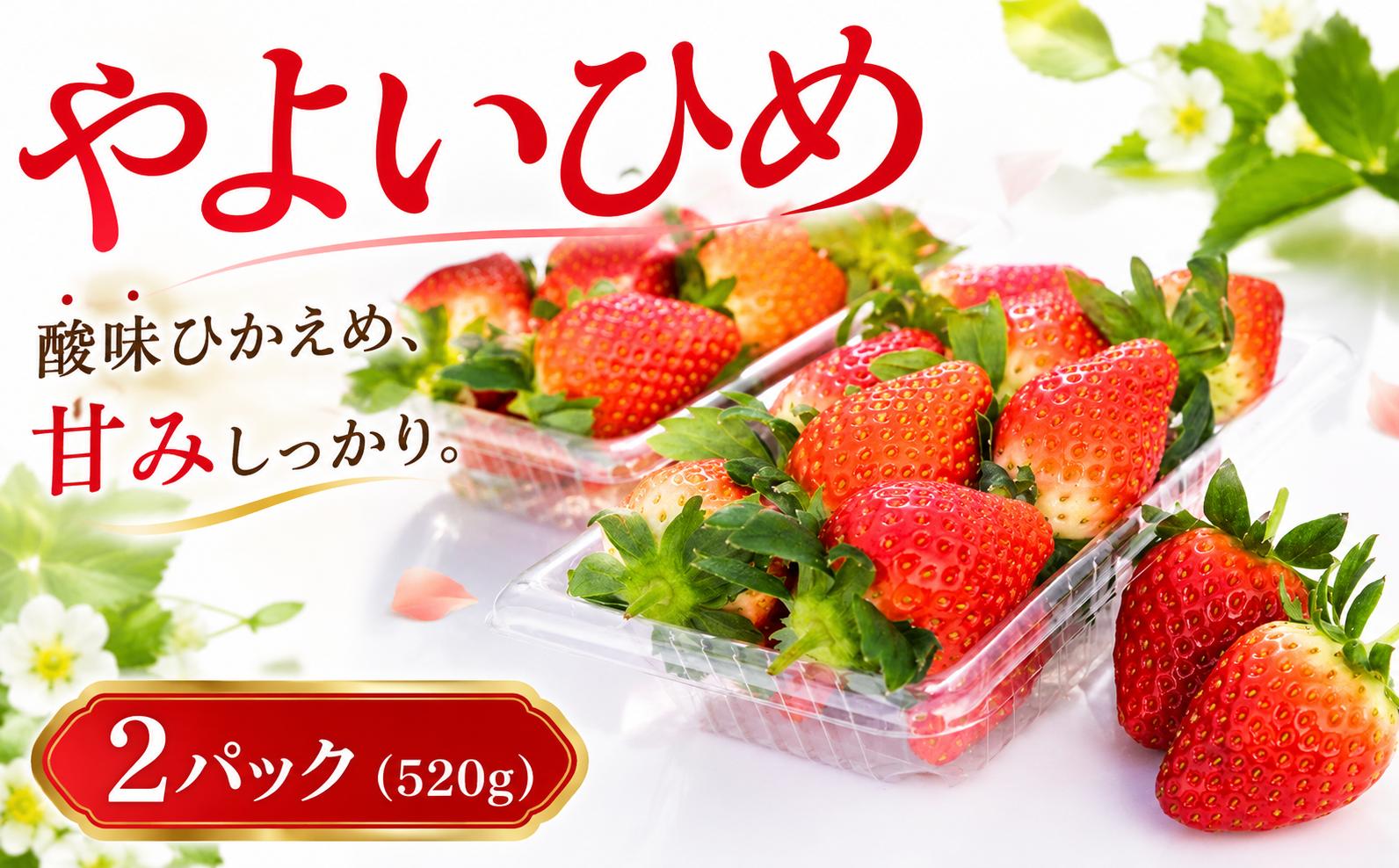 
                  いちご やよいひめ 約 260g × 2パック 先行予約 【2027年1月より発送開始】 苺 イチゴ いちご 果物 やよい姫 フルーツ くだもの デザート 野菜 完熟 朝採れ 新鮮 国産 茨城県 筑西市 関東
                