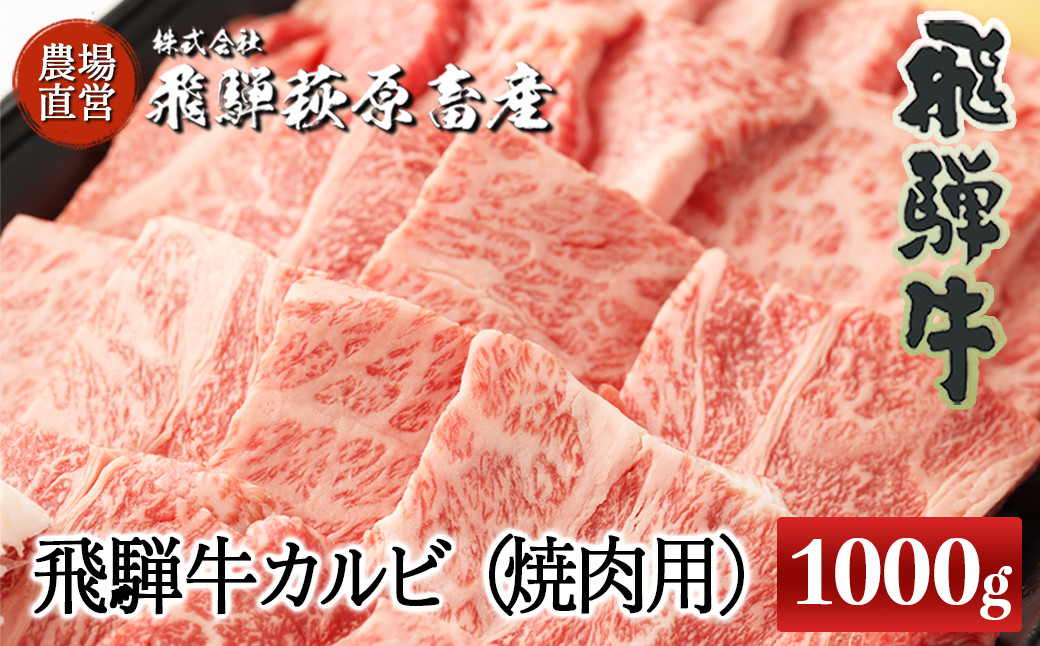 
たっぷり大容量！飛騨牛カルビ焼肉用（1kg）最高級 国産 牛肉 ブランド牛 和牛 焼き肉用 ギフト 贈答 【冷凍】
