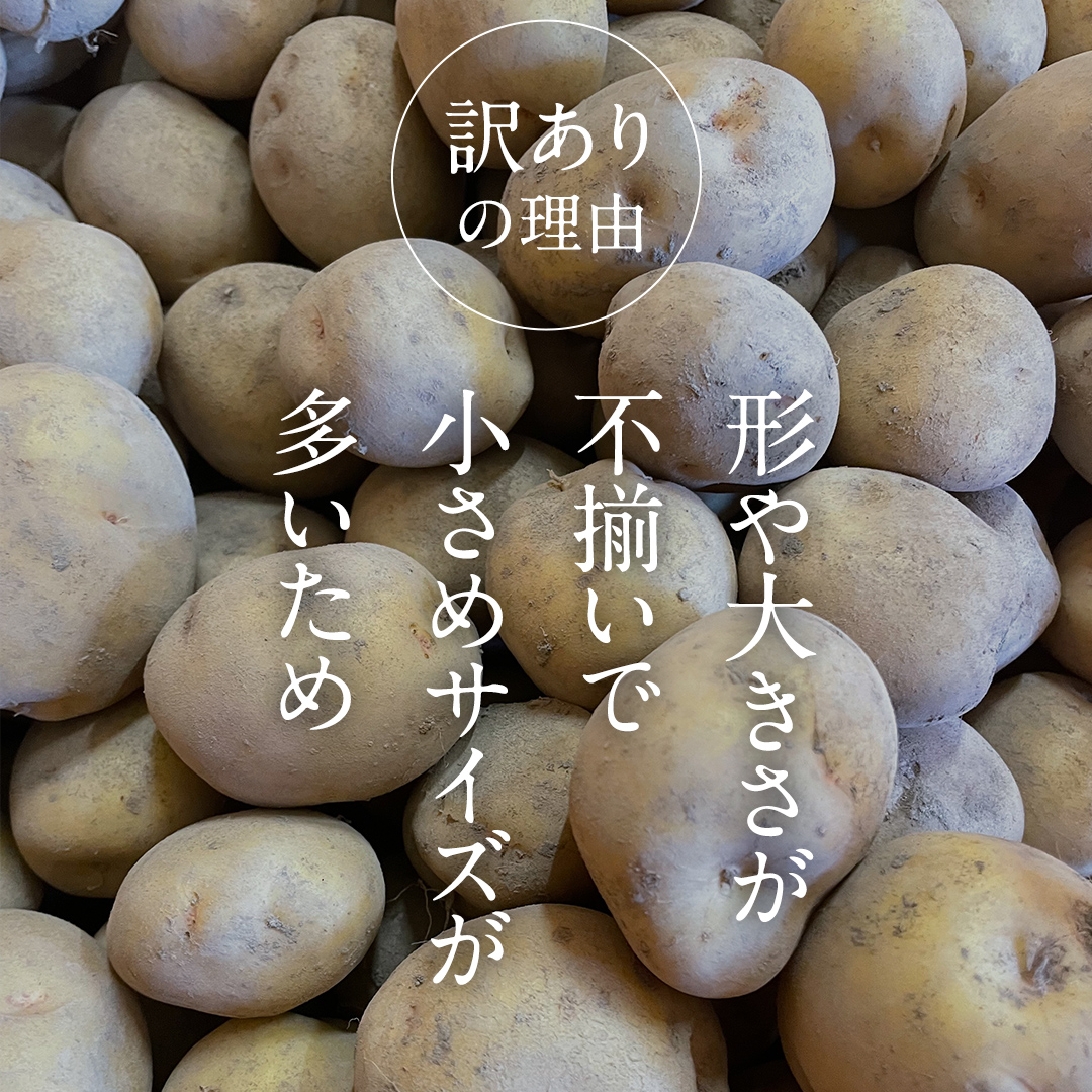 【訳あり】ミニ ジャガイモ ( キタアカリ )  5kg 田んぼで作