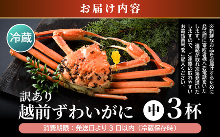 【先行予約】【訳あり】 茹で「越前ズワイ蟹」 中 3杯 脚折れ 【2025年2月発送分】【わけあり ワケアリ カニ かに 蟹 越前ガニ 越前蟹 ずわいがに ズワイガニ ズワイ ボイルガニ 姿 ボイル 