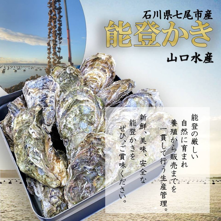 【発送時期が選べる】山口水産の能登かき 殻付き 小缶　3kg(18～22個入)◇ ｜ 石川県 七尾市 能登 ※2025年1月中旬頃～4月下旬頃に順次発送予定 ※離島への配送不可