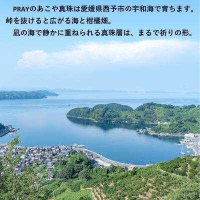 ふるさと納税 西予市 <明浜産あこや真珠8.5mm　K18YGスルーネックレス>　パール　ジュエリー　アクセサリー　ギフト |  | 03
