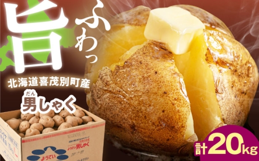 【9月下旬以降順次発送】じゃがいも 男爵芋 20kg 《喜茂別町》【Aコープようてい】 じゃがいも いも 芋 ジャガイモ イモ 野菜 男爵 北海道 ポテト 国産 産地直送 旬 お取り寄せ 常温 [AJ