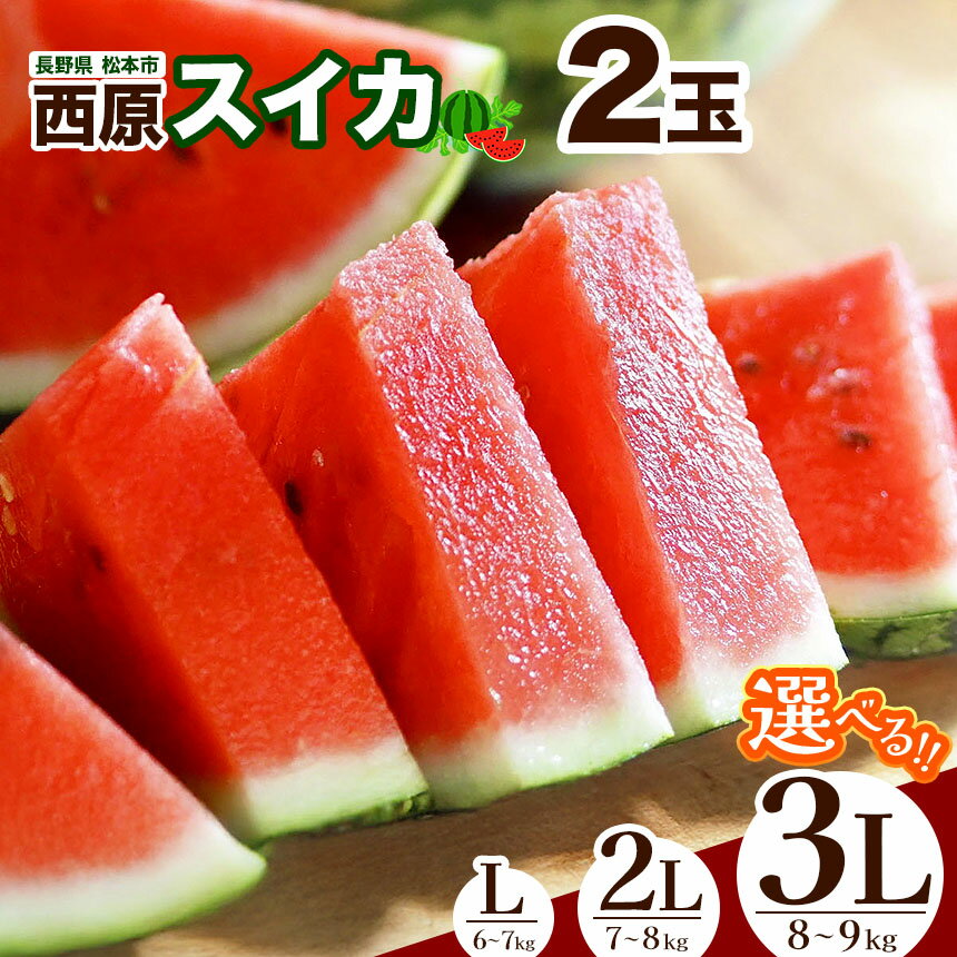 【ふるさと納税】【2025年発送 先行予約】松本市 西原スイカ 2玉 【 先行受付 】選べる！ L or 2L or 3L │ 信州 松本市 長野県 西瓜 すいか 果物 大玉 スイカ フルーツ くだもの フルーツ ふるーつ