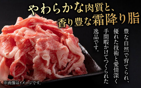 【3回定期便】 飛騨牛切り落とし500g 飛騨牛 切り落とし 定期便[ANBE014]