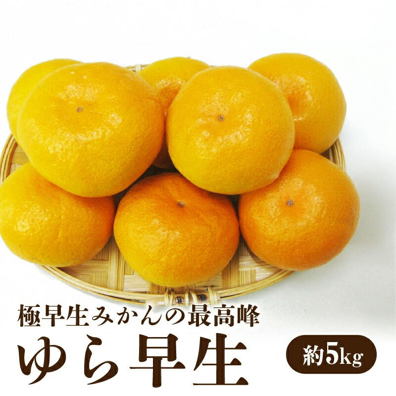 【ふるさと納税】【先行予約】 【配送不可地域：北海道・沖縄県・離島】極早生みかんの最高峰 「ゆら早生」 約5kg 秋 旬 五色青果
