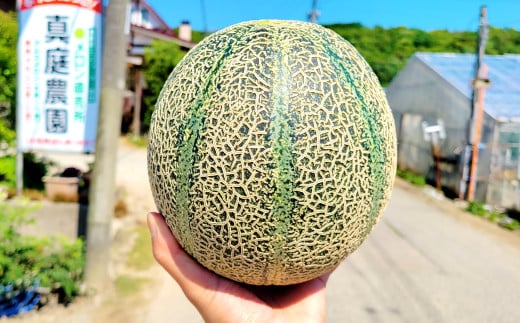 先行予約・数量限定！皮の近くまでジューシーで甘い、糖度14度以上のメロンです♪