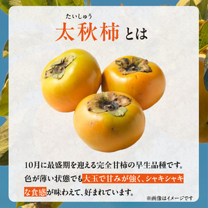 【訳あり品】【10月より順次発送】池尻農園 太秋柿 5 ～ 9玉 約 1.8kg ご家庭用_Fk015