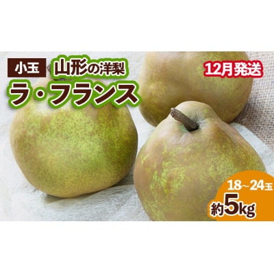 山形の洋梨 ラフランス 優品 約5kg (小玉2L～M/18～24玉) FZ23-654