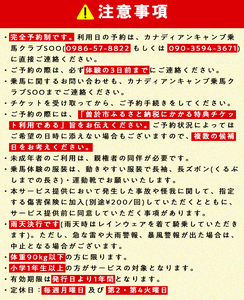 【乗馬スクールチケット】ビギナースクール～30分レッスン×3回、小学1年生以上～(1名様) 体験 乗馬 チケット【曽於市観光協会】 D40