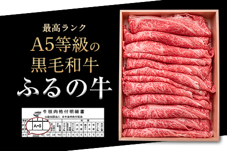 ふるの牛（黒毛和牛）ロースすき焼き・しゃぶしゃぶ用 500g A5 有限会社ふるの《30日以内に出荷予定(土日祝除く)》