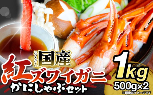 【先行予約】かに しゃぶしゃぶ 紅ズワイガニ 1kg 国産 カニしゃぶ 鍋セット 冷凍 ポーション ギフト 年末年始 魚介 富山県 氷見市