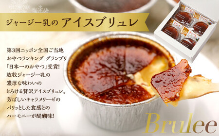 雪ヶ峰ロール くちどけ ショコラ（1本）＆アイスブリュレ（4個）ロールケーキ チョコケーキ お取り寄せ 生クリーム アイス プリン お菓子 スイーツ 通販版 令和の虎 通販の虎 高知県