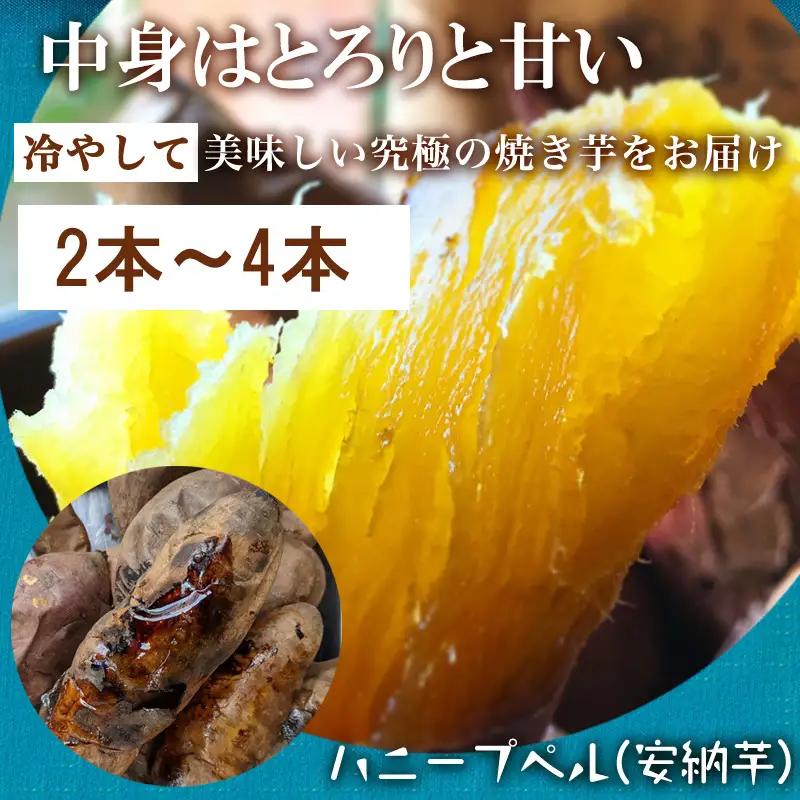 『先行予約』【11月上旬より順次発送】冷凍焼き芋 紅おとか (紅はるか系)＆ハニープぺル(安納芋) 食べ比べセット (合計1.2kg)