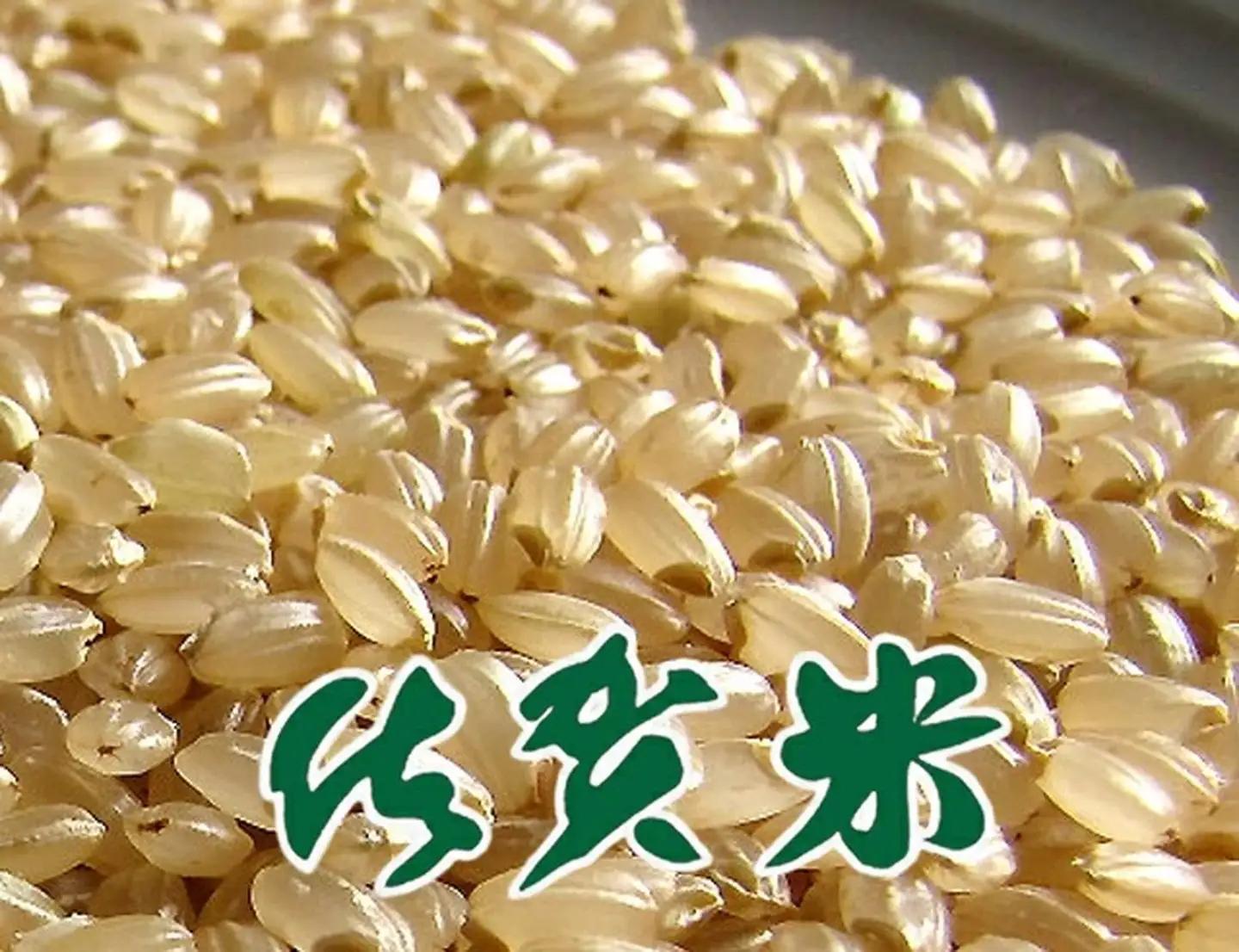 ＜玄米＞佐賀東与賀産シギの恩返し米（特別栽培米夢しずく）5kg：B150-079
