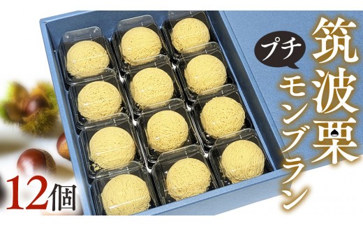 
                  筑波 栗 の プチ モンブラン 約20g × 12個 和栗 和栗ペースト マロン クリーム 菓子 スイーツ オリジナル 洋菓子 和菓子 和スイーツ [EK011sa]
                
