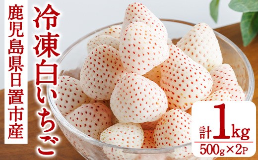 
                  No.646-B 冷凍白いちご(約500g×2袋・計約1kg) 国産 鹿児島 日置市 加工品 苺 イチゴ いちご 冷凍 果物 くだもの フルーツ 小粒 冷凍果実 アイス スムージー シロップ ジャム 冷凍フルーツ 数量限定 【ままりあ農園】
                