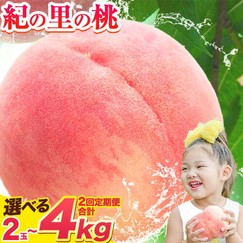 【ふるさと納税】【2026年出荷分先行予約】あふれる果汁で口いっぱい！甘くてジューシーな桃 和歌山県産 紀の里の桃 約2kg (6〜8玉) 《2026年6月中旬-8月中旬頃出荷》 2026年 先行予約 紀の里の桃 白鳳 日川白鳳 なつっこ 清水白桃 川中島白桃 和歌山 もも クール便 ギフト