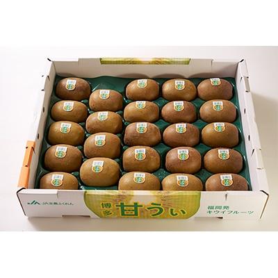 ふるさと納税 春日市 【春日】福岡限定!ブランドキウイ「甘うぃ(あまうぃ)」約3kg箱(24-30玉) |  | 02