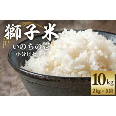 ふるさと納税 石岡市 獅子米 いのちの壱 小分け セット 10kg (2kg×5袋)
