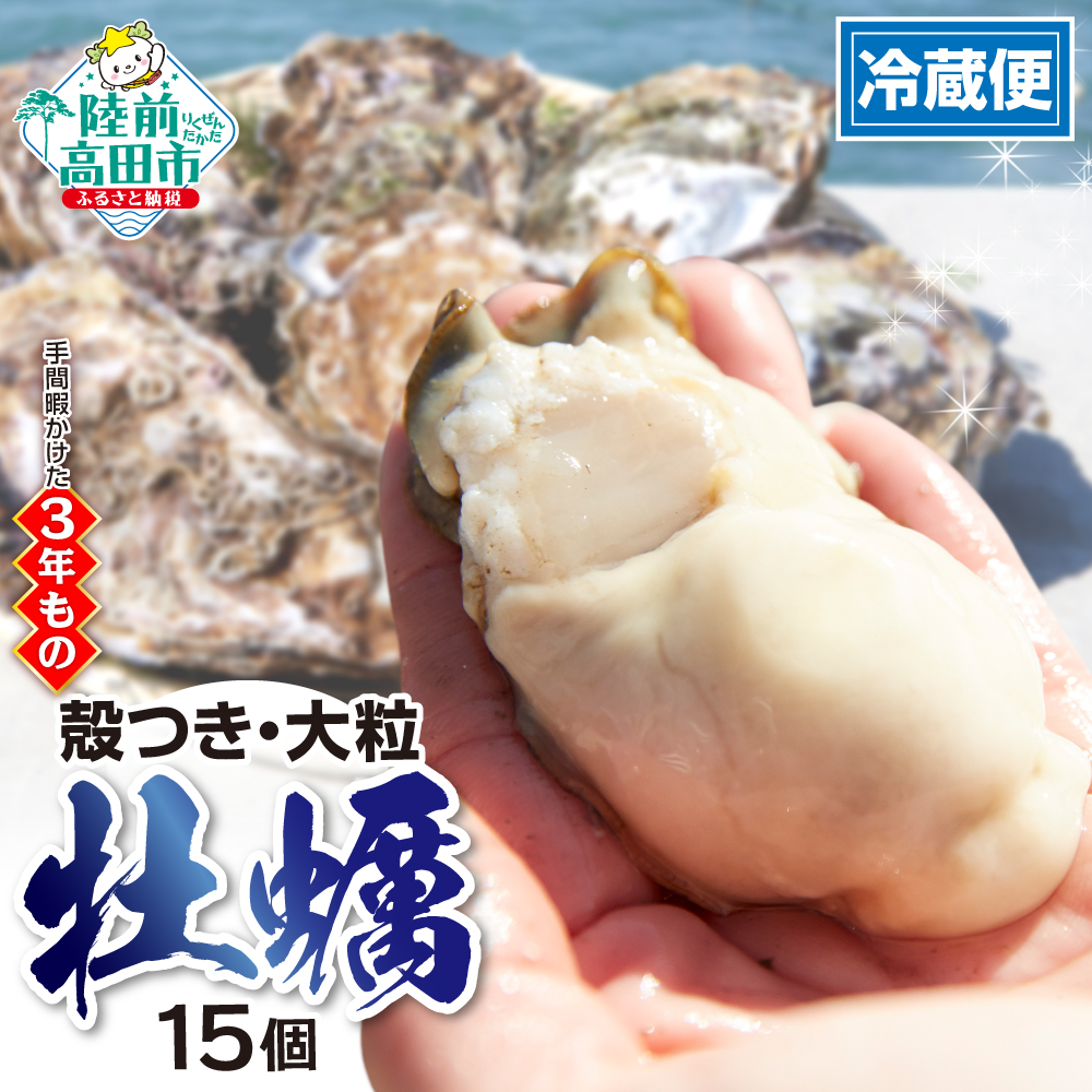 【期間限定】殻付き牡蠣 15個（生食用）「3年育成した大粒」【 天然 牡蠣 かき 殻付き 生食 大粒 人気 国産 真牡蠣 三陸産 広田湾産 マルテン水産 】  RT265