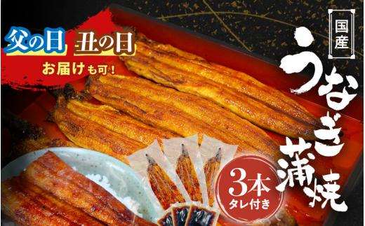 
                  【発送時期が選べる】国産うなぎ蒲焼（3本）タレ付き / 和歌山 田辺市 国産 国産うなぎ 国産鰻 うなぎ 鰻 鰻丼 うな丼 土用の丑の日【ots017oya】
                