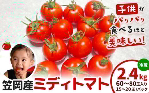 笠岡産ミディトマト2.4kg（数量限定）トマト フルーツトマト 中玉 原田農園《10月上旬-6月末頃出荷》 岡山県 笠岡市 岡山県産 トマト 野菜 笠岡市産