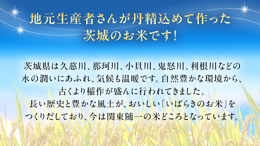 令和6年産 茨城県産 玄米 コシヒカリ 30kg（30kg×1袋） 新米 清米 キヨシマイ こしひかり 米 コメ こめ 単一米 限定 茨城県産 国産 美味しい お米 おこめ おコメ