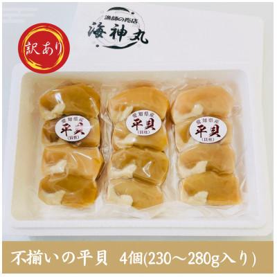 ふるさと納税 南知多町 訳あり愛知県産平貝(タイラギ)4個入り【230〜280g】　3パック |  | 01