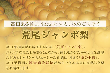 先行予約 梨 新高 ジャンボ梨 約3kg 髙口果樹園