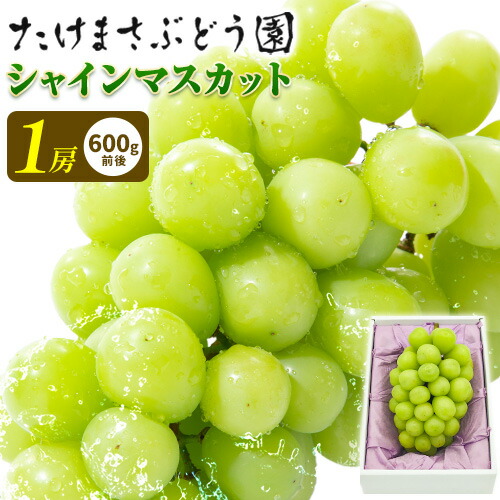 【先行予約】ぶどう シャインマスカット 1房 たけまさぶどう園 《9月上旬-10月中旬頃出荷》岡山県 浅口市 フルーツ デザート おやつ マスカット 果物 国産 岡山県産 くだもの 青果物 送料無料【配送不可地域あり】