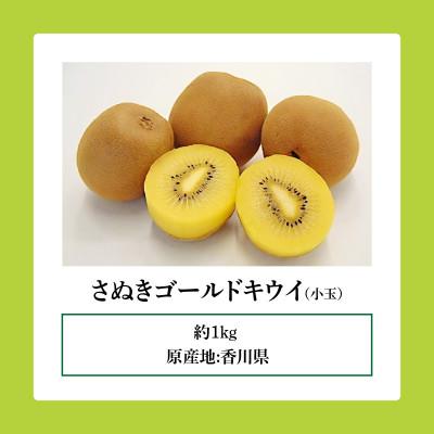 ふるさと納税 高松市 ご家庭用さぬきゴールドキウイ　約1kg |  | 03